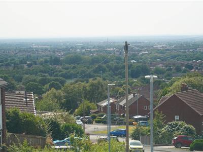 Picture 11